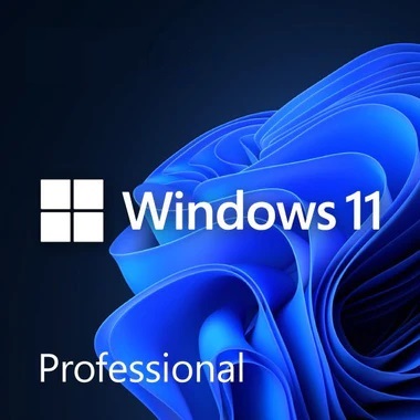 Windows 11 Pro