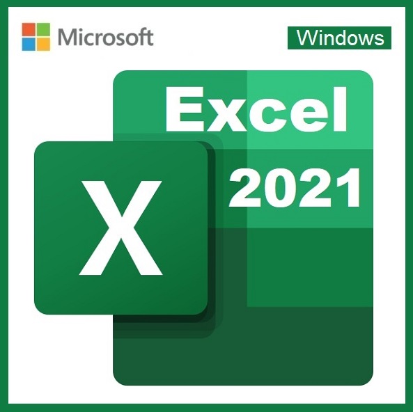 Excel 2021 | Digital Pro Link